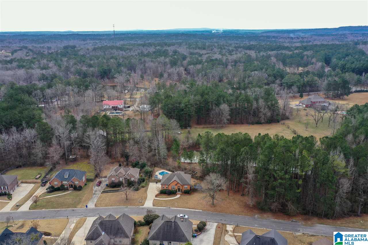 168 River Birch Road Chelsea, AL 35043 - Photo 37 of 41