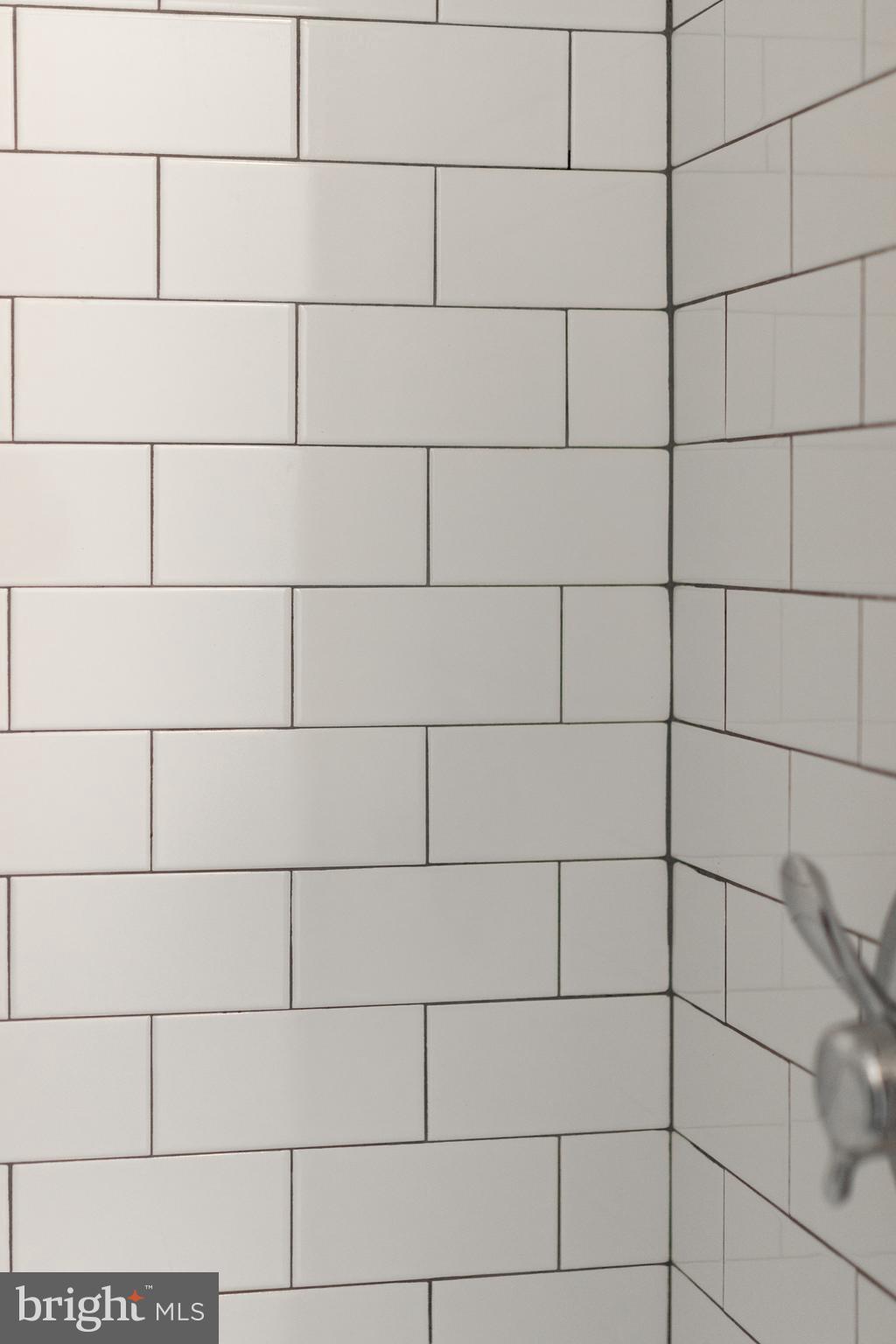1137 Dorum Avenue State College, PA 16801 - Photo 49 of 56 a bathroom with a shower