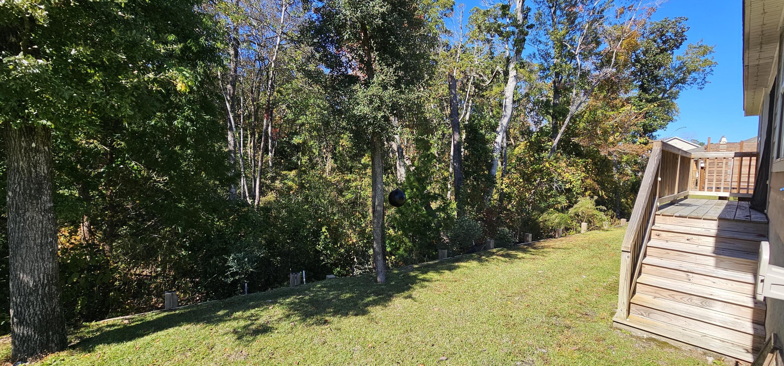460 Riverwalk Circle Freeport, FL 32439 - Photo 23 of 25 a view of a yard with plants
