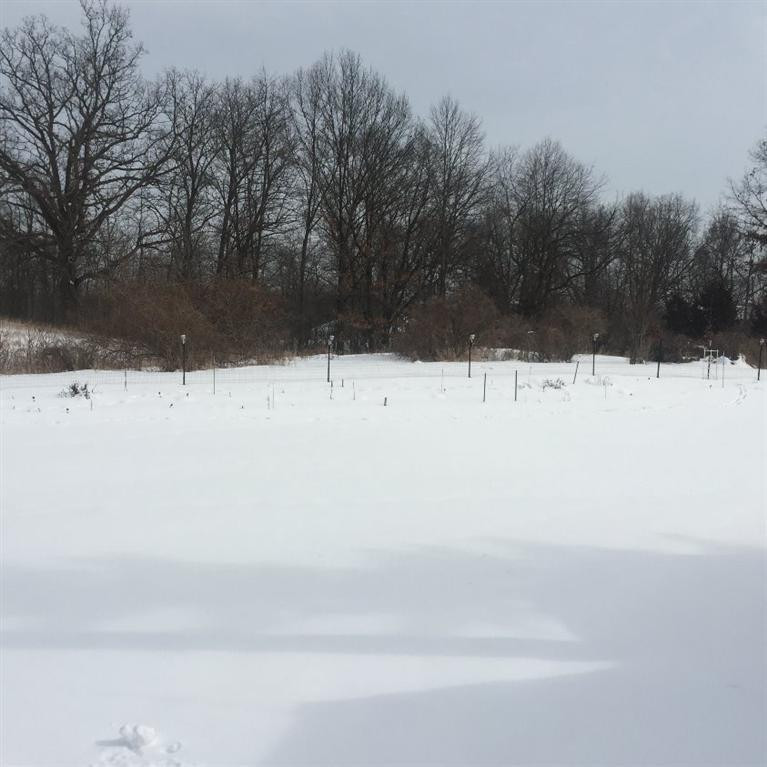 2890 North Parker Road Dexter, MI 48130 - Photo 11 of 34 Photo 11
