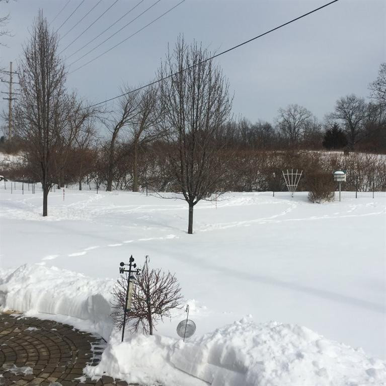2890 North Parker Road Dexter, MI 48130 - Photo 12 of 34 Photo 12
