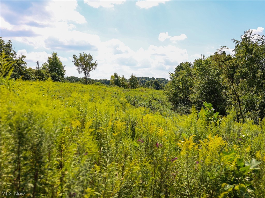 3789 Dixon Ridge Road Lowell, OH 45744 - Photo 23 of 30 Gallery Image 23