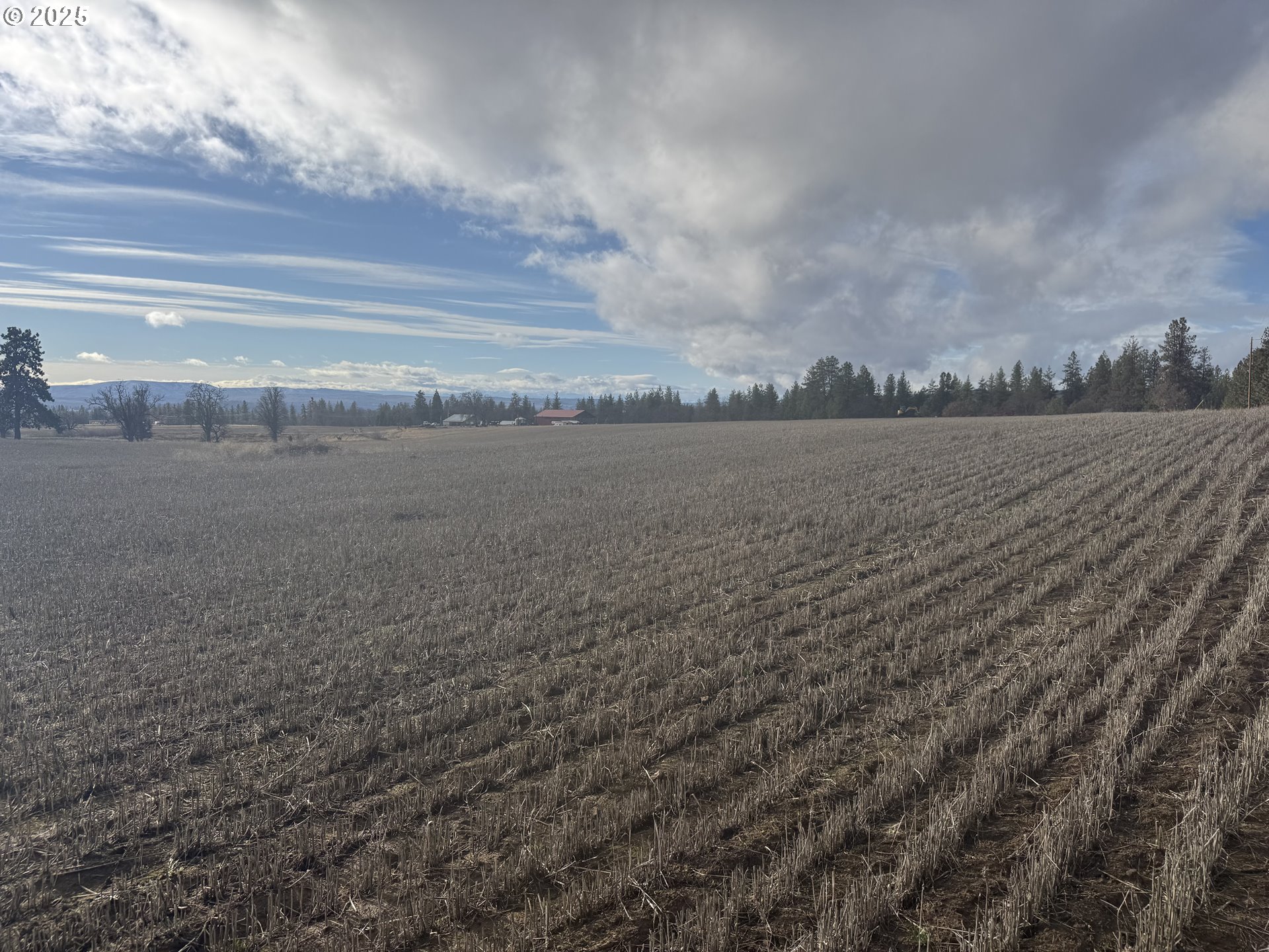 2 Mountainview Road, Unit 2 Goldendale, WA 98620 - Photo 5 of 12