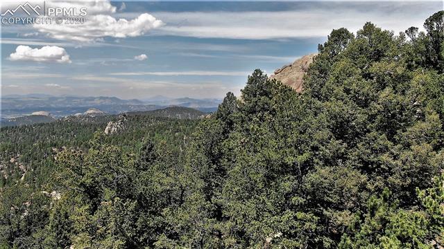 133 Haven Road Divide, CO 80814 - Photo 5 of 6