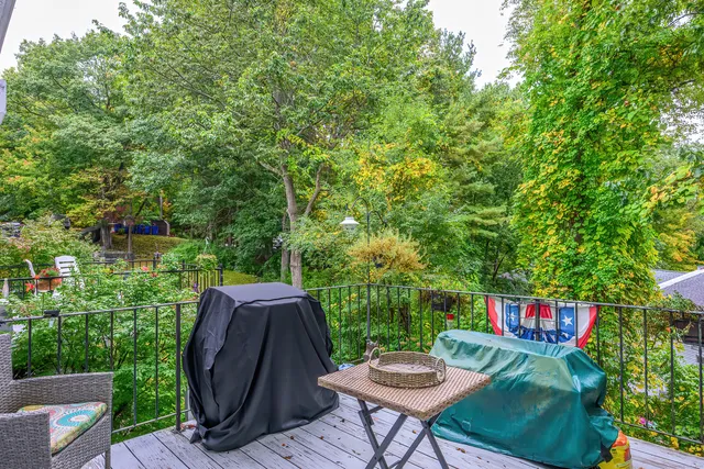 a view of a backyard with sitting area furniture and a potted plants