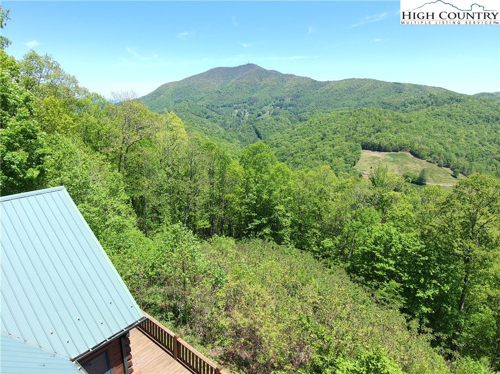1003 Cameron Ridge Road Warrensville, NC 28693 - Photo 41 of 43 Gallery Image 41
