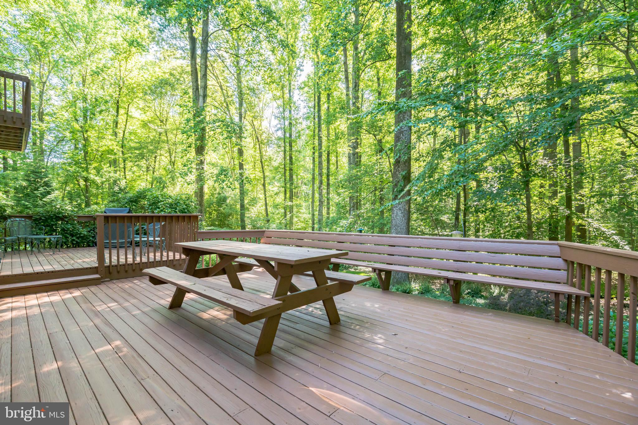 53 Jewell Road Dunkirk, MD 20754 - Photo 36 of 59 Expansive deck along the back of the house