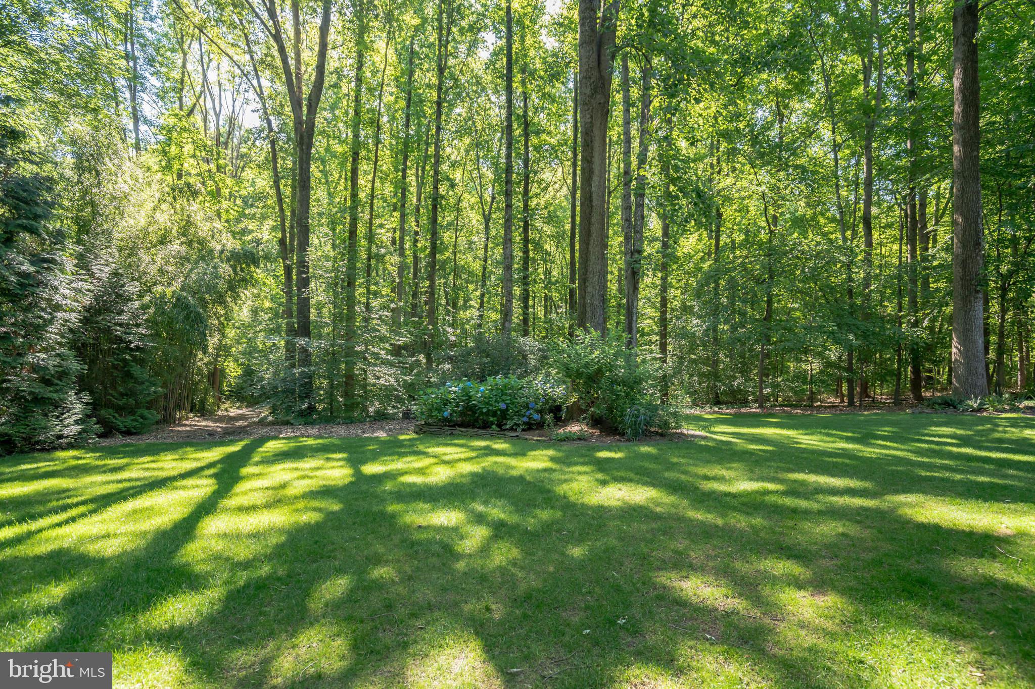 53 Jewell Road Dunkirk, MD 20754 - Photo 43 of 59 Beautiful yard & setting