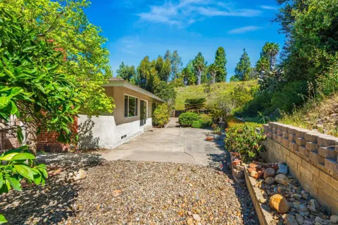 a view of a house with a yard and plant
