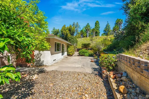 a view of a house with a yard and plant