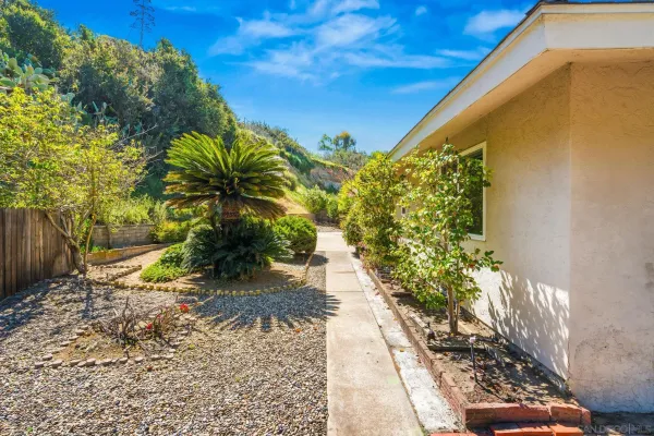 a view of a garden with plants
