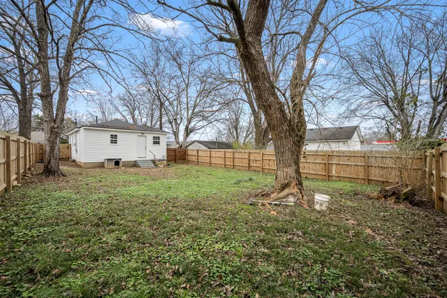 a view of backyard with a large tree