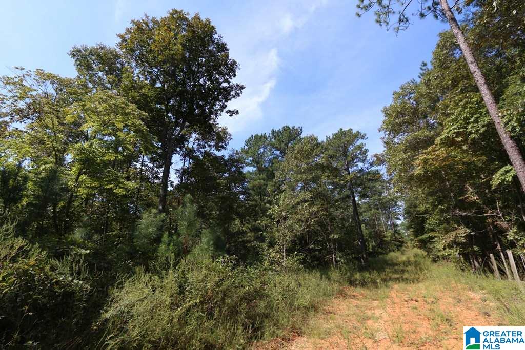 Sprayberry Road, Unit 103 Cropwell, AL 35054 - Photo 40 of 48