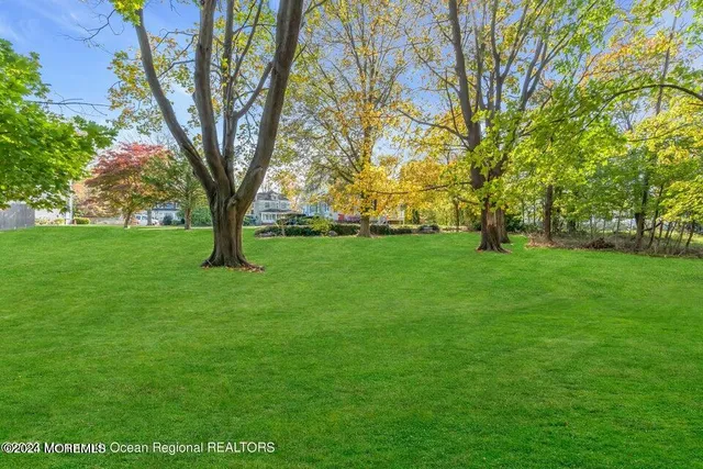 a view of yard with trees