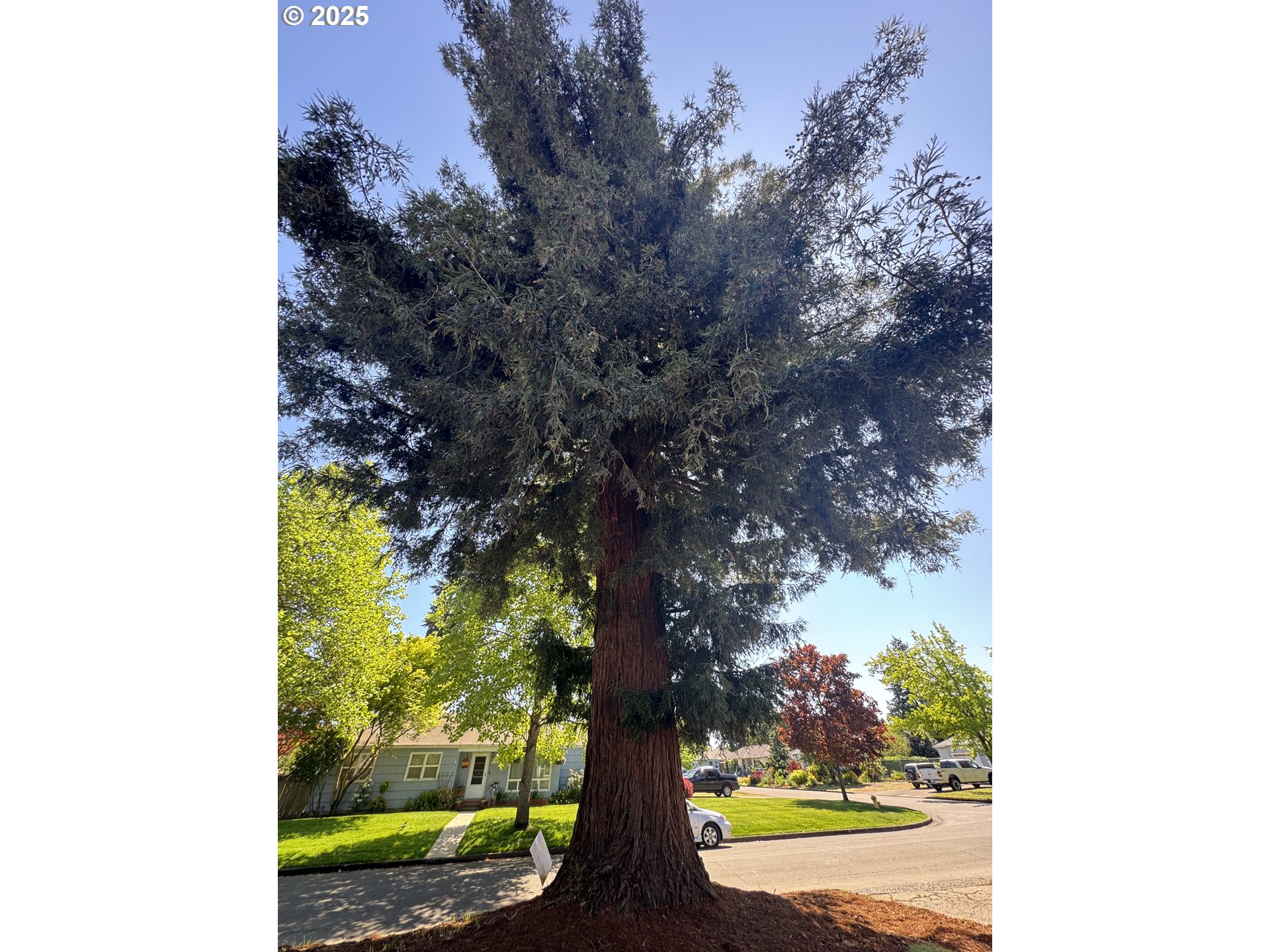 3345 Bell Avenue Eugene, OR 97402 - Photo 30 of 31