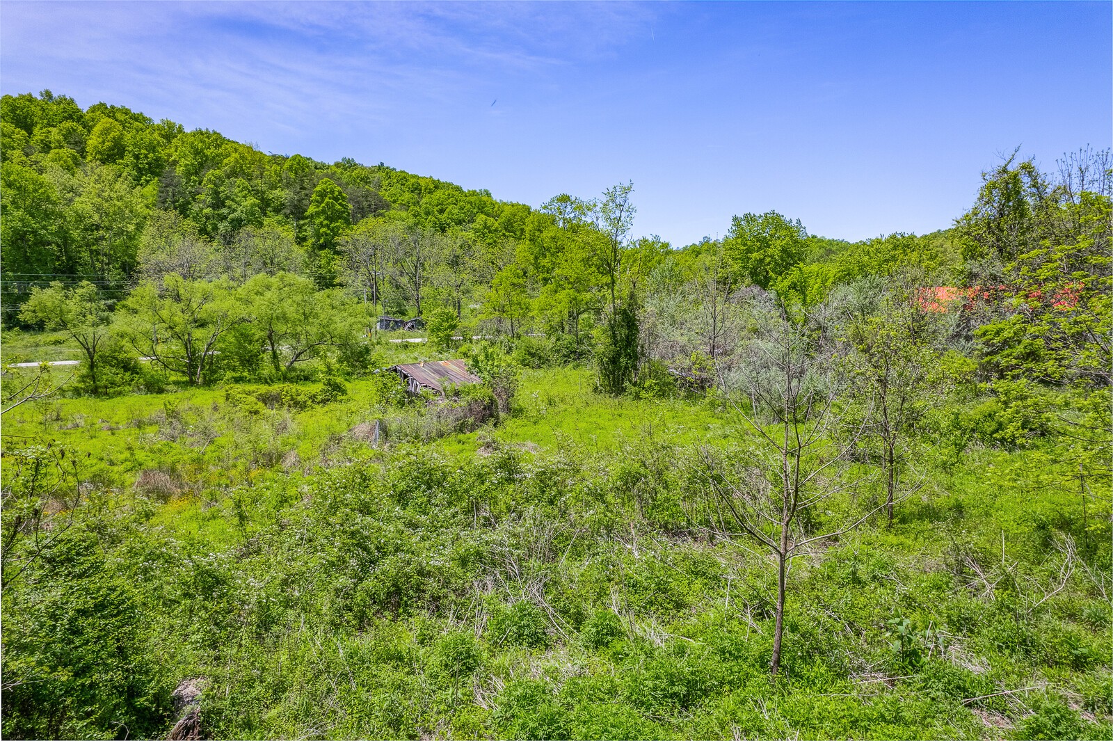 8317 Wilder Road Wilder, TN 38589 - Photo 8 of 16 Gallery Image 8