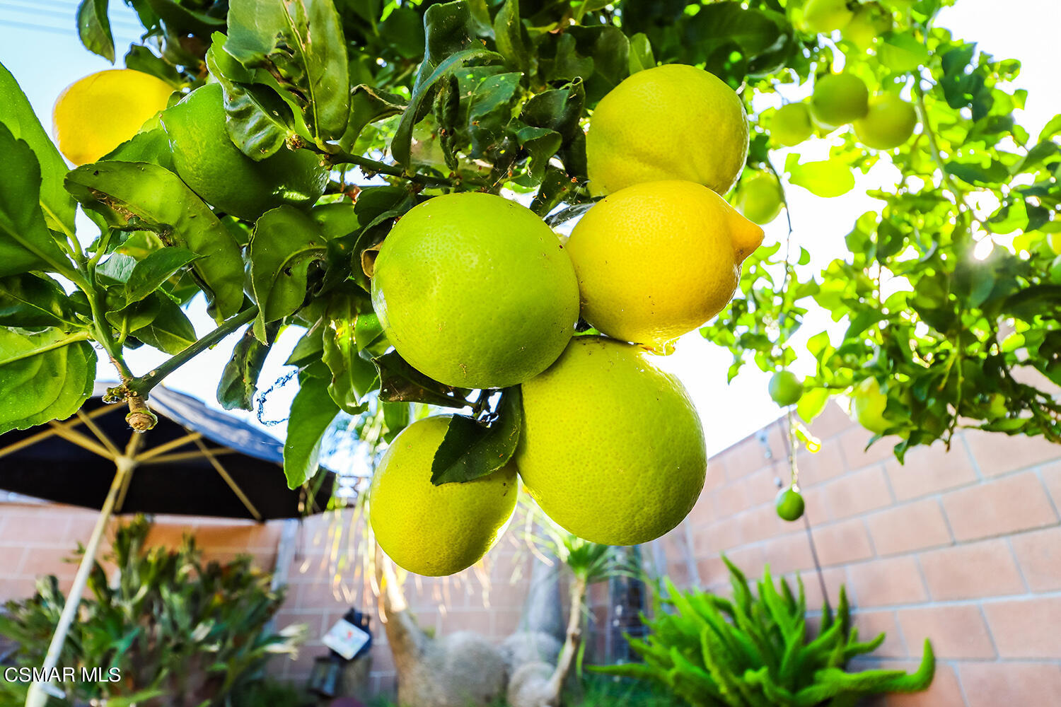 2248 Cutler Street Simi Valley, CA 93065 - Photo 35 of 41 a view of a swimming pool in he middle of the house