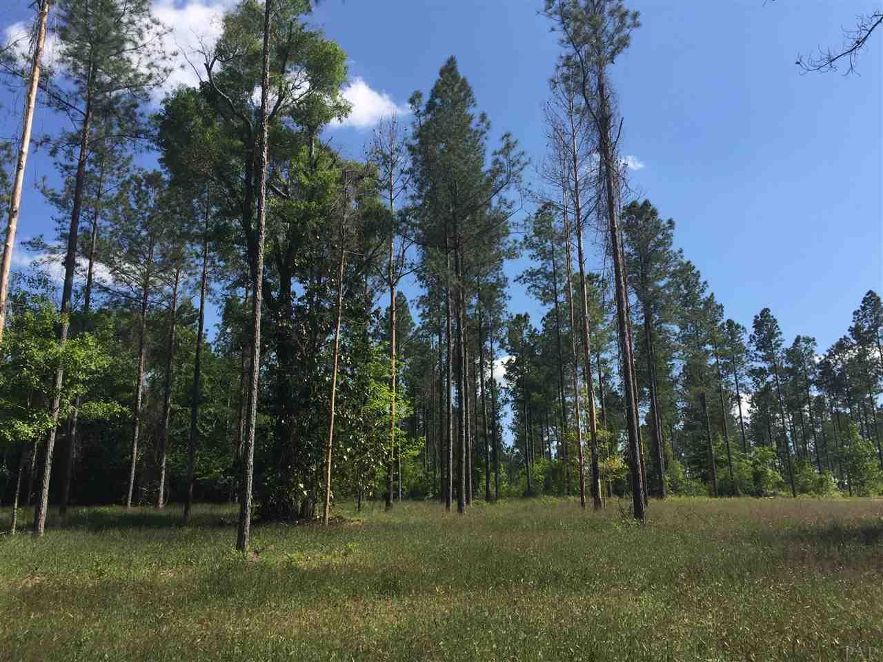 Lot 5 Wallace Lake Road Pace, FL 32571 - Photo 1 of 9