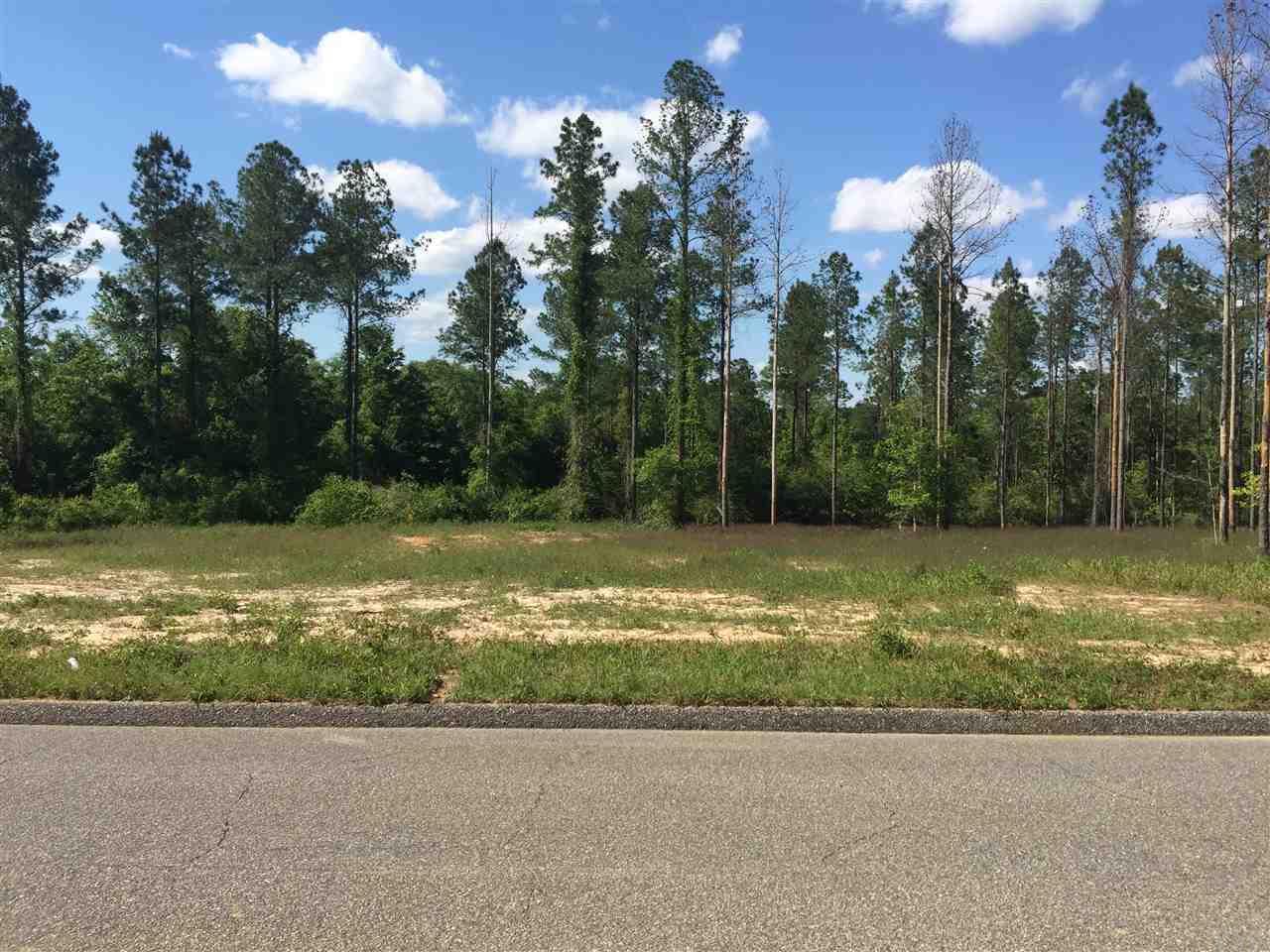 Lot 5 Wallace Lake Road Pace, FL 32571 - Photo 2 of 9