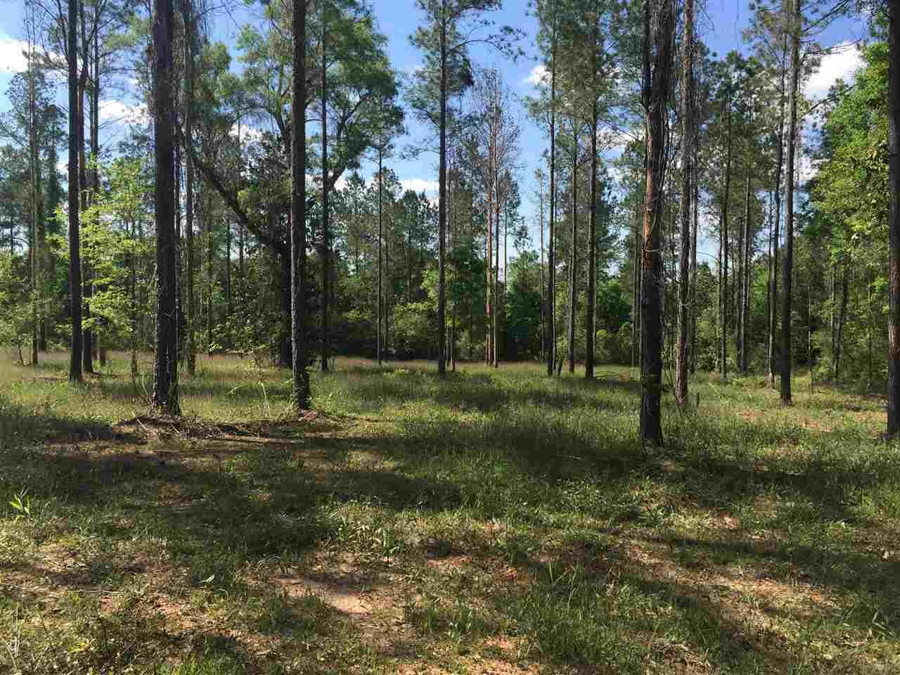 Lot 5 Wallace Lake Road Pace, FL 32571 - Photo 3 of 9