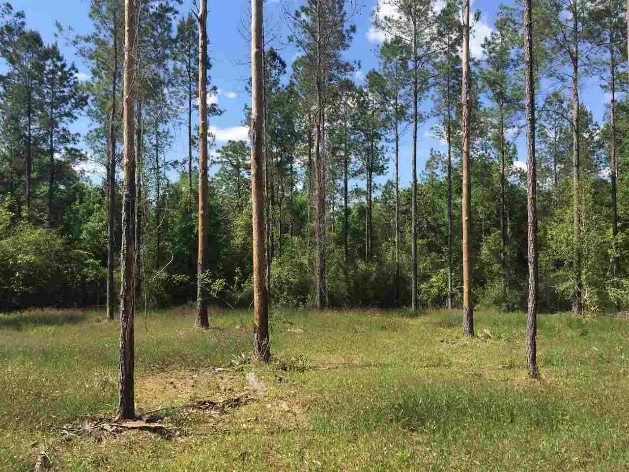Lot 5 Wallace Lake Road Pace, FL 32571 - Photo 4 of 9