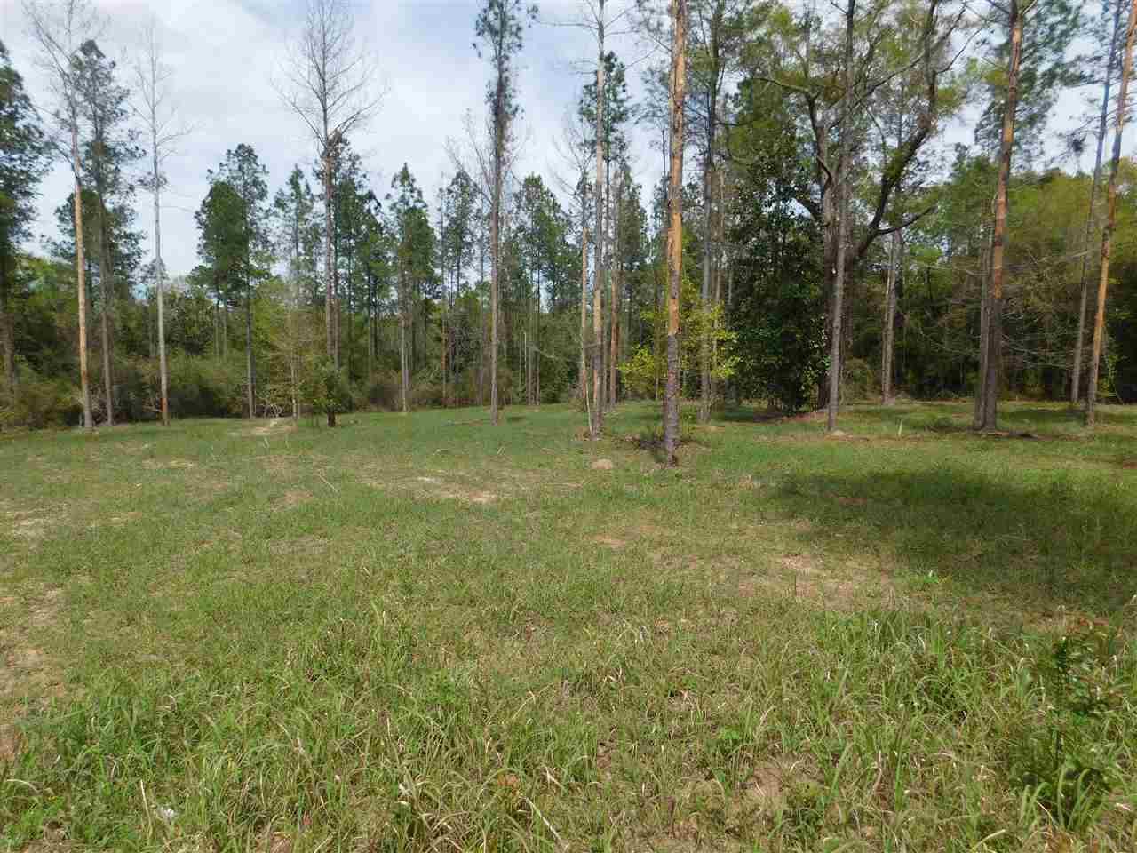 Lot 5 Wallace Lake Road Pace, FL 32571 - Photo 5 of 9