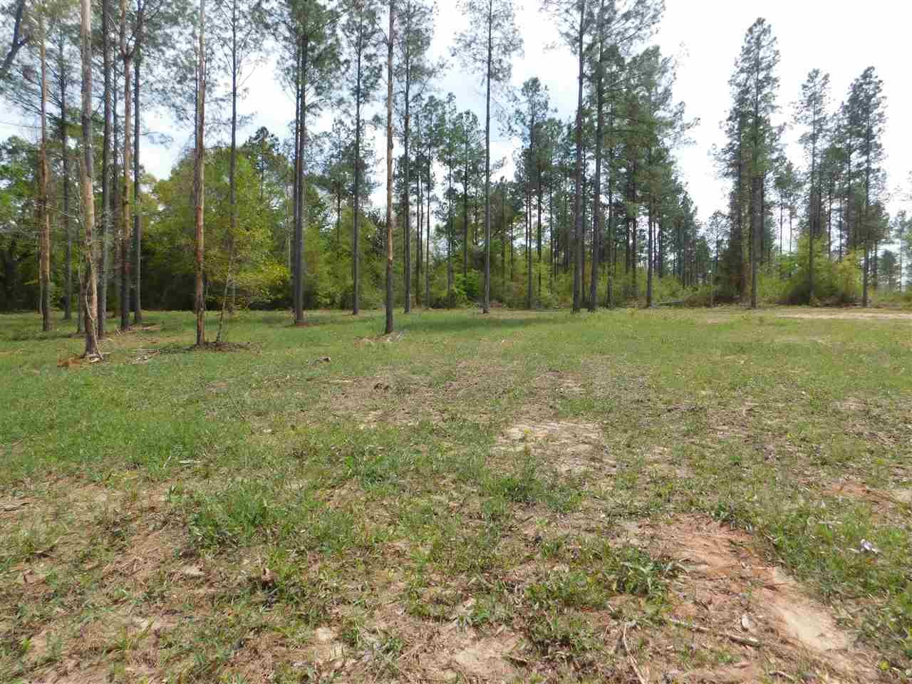 Lot 5 Wallace Lake Road Pace, FL 32571 - Photo 6 of 9