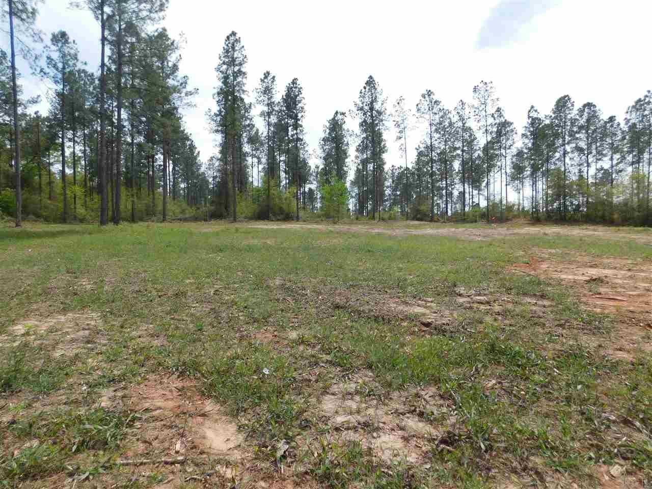 Lot 5 Wallace Lake Road Pace, FL 32571 - Photo 7 of 9