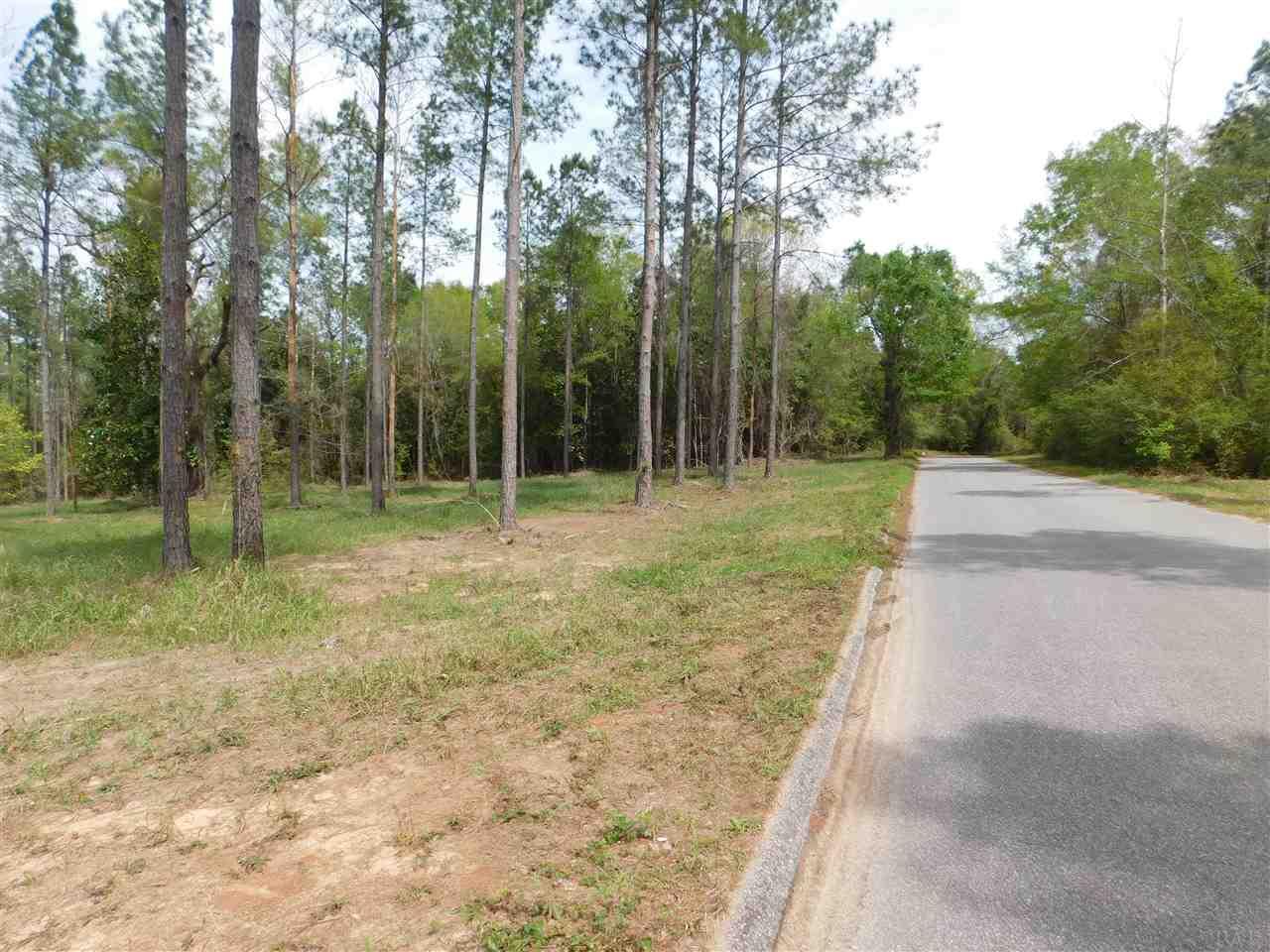 Lot 5 Wallace Lake Road Pace, FL 32571 - Photo 8 of 9