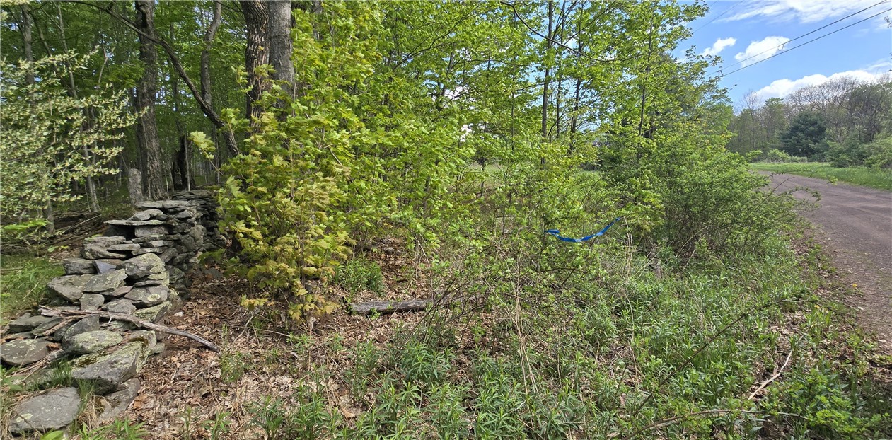 Adams Hill Road Hobart, NY 13788 - Photo 3 of 14 SOUTHERN APPROX ROAD BOUNDARY NOTED BY RIBBONS