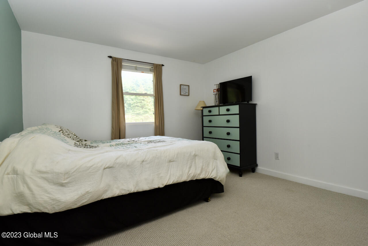 230 Thimbleberry Road Malta, NY 12020 - Photo 28 of 35 28