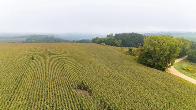 $120,000 | 3 Goat Back Road, Pepin, WI 54759