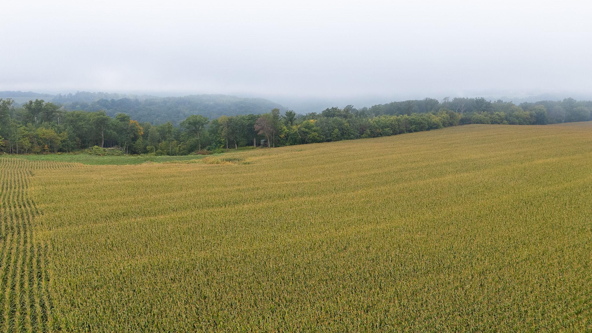 3 Goat Back Road Pepin, WI 54759 - Photo 12 of 23