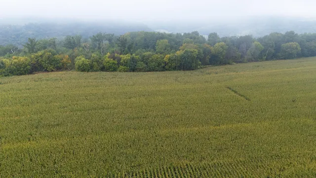 $120,000 | 3 Goat Back Road, Pepin, WI 54759