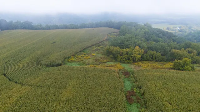 $120,000 | 3 Goat Back Road, Pepin, WI 54759