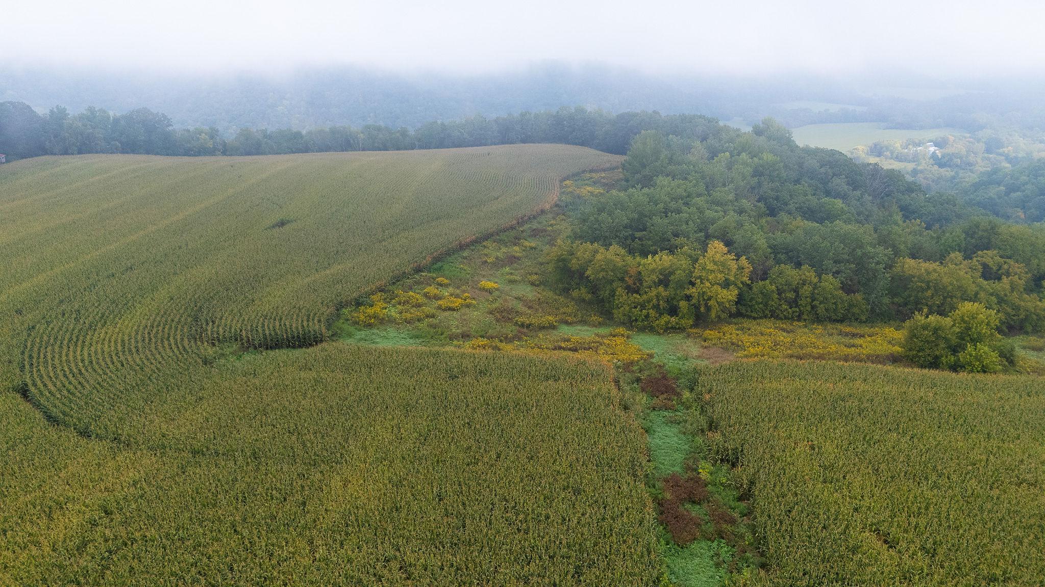 3 Goat Back Road Pepin, WI 54759 - Photo 17 of 23