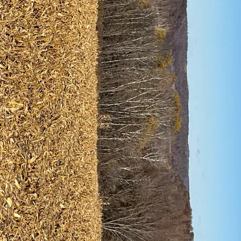 $120,000 | 3 Goat Back Road, Pepin, WI 54759