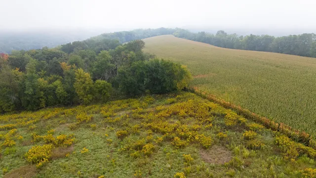 $120,000 | 3 Goat Back Road, Pepin, WI 54759