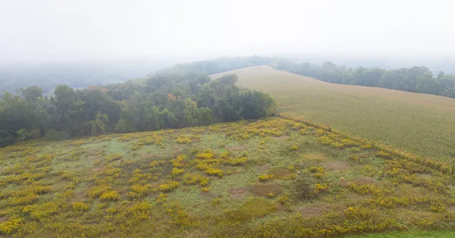 $120,000 | 3 Goat Back Road, Pepin, WI 54759