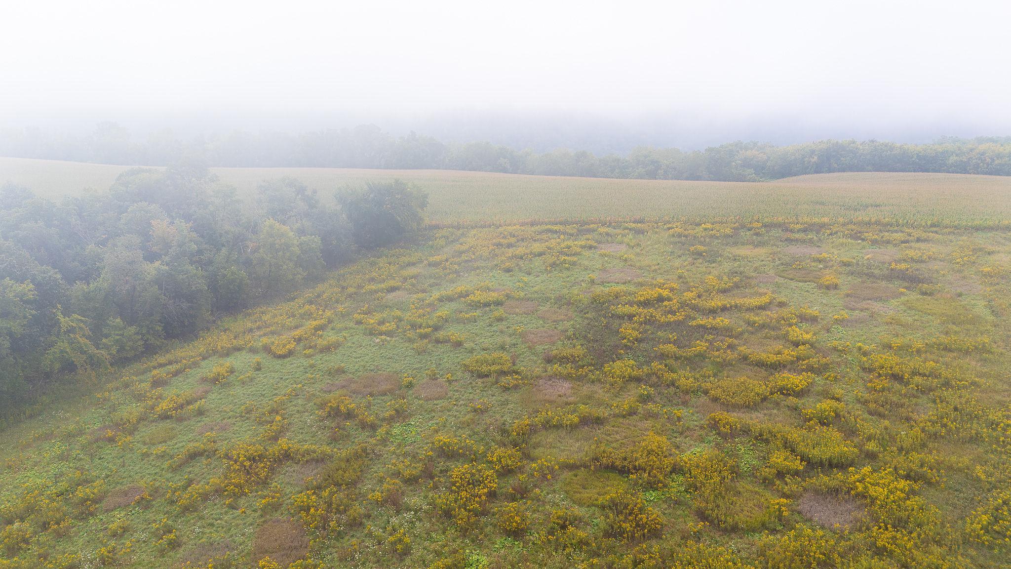 3 Goat Back Road Pepin, WI 54759 - Photo 6 of 23