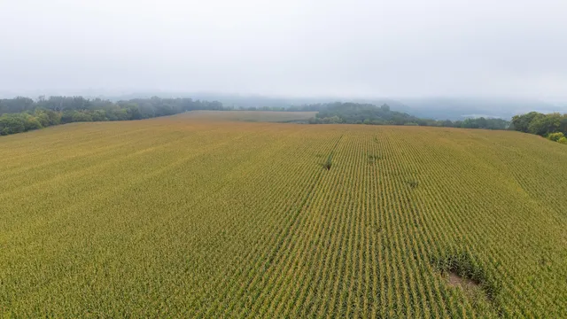 $120,000 | 3 Goat Back Road, Pepin, WI 54759