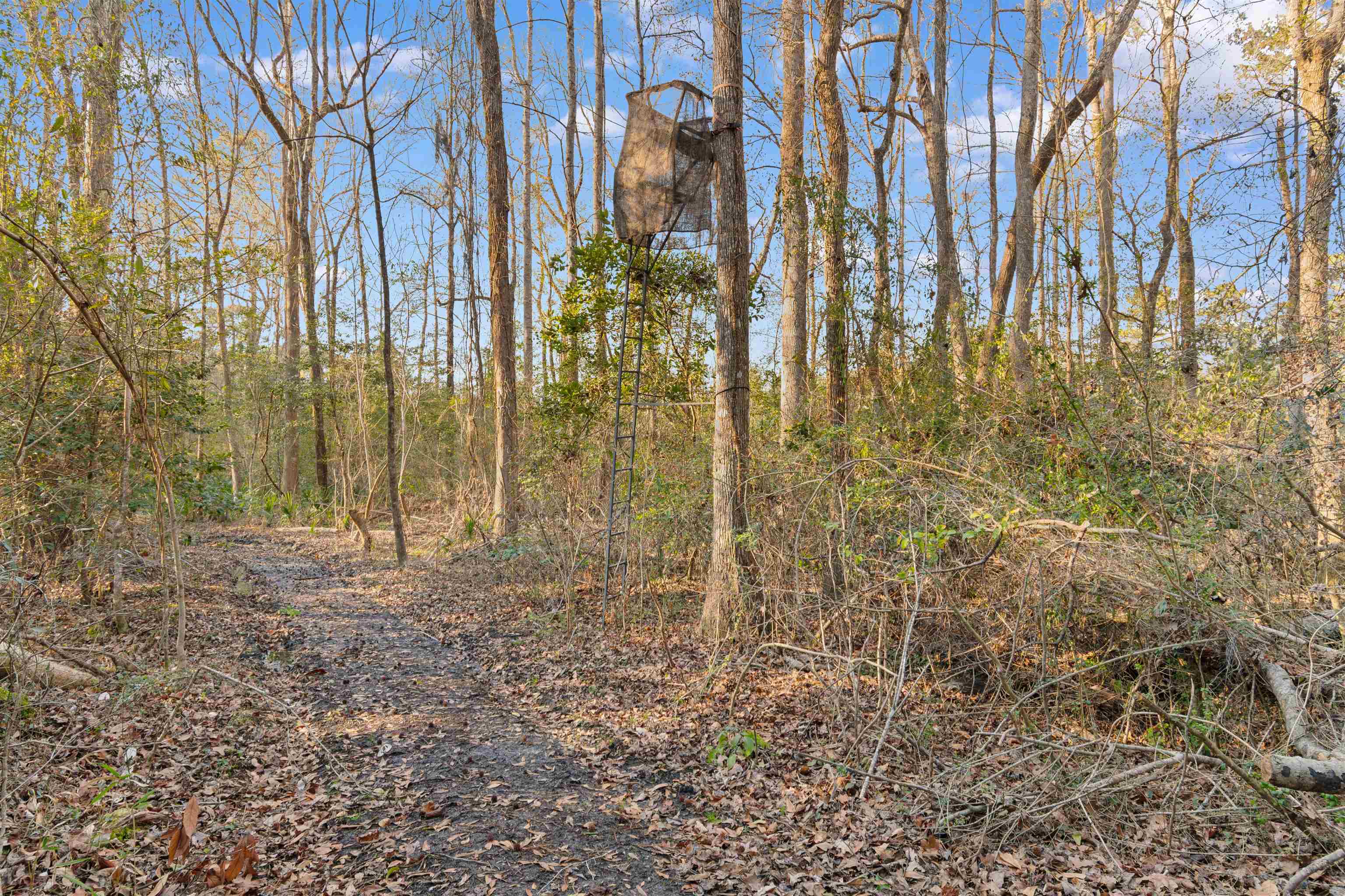 6870 Clay Hill Road Galivants Ferry, SC 29544 - Photo 38 of 55