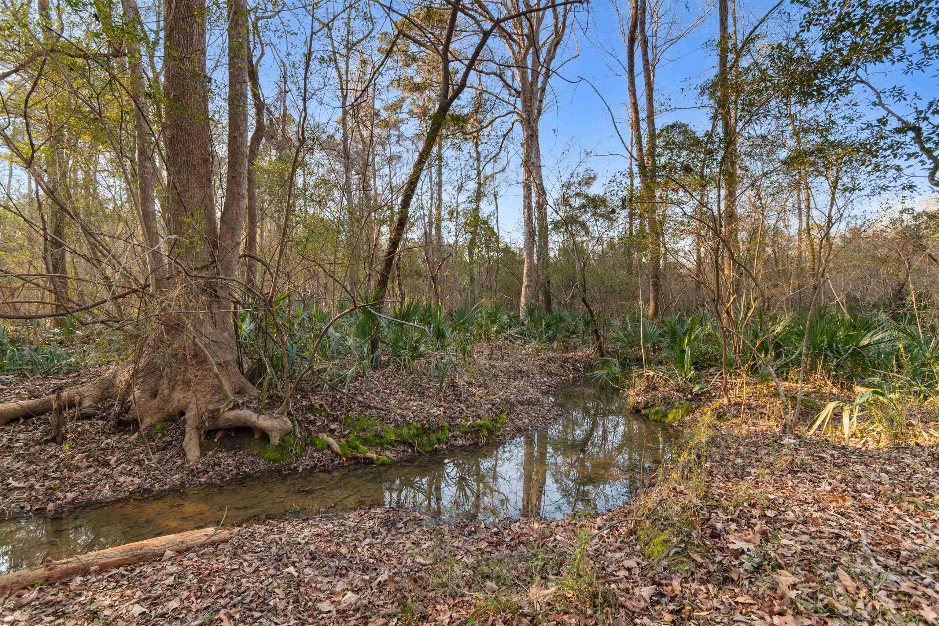 6870 Clay Hill Road Galivants Ferry, SC 29544 - Photo 39 of 55