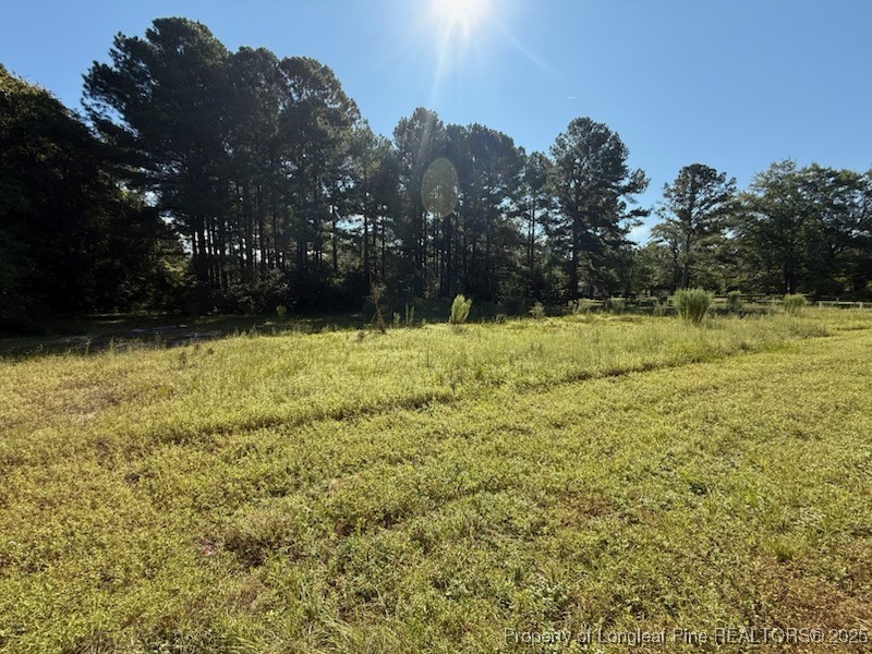 Tbd Tabernacle Road Hamlet, NC 28345 - Photo 3 of 5
