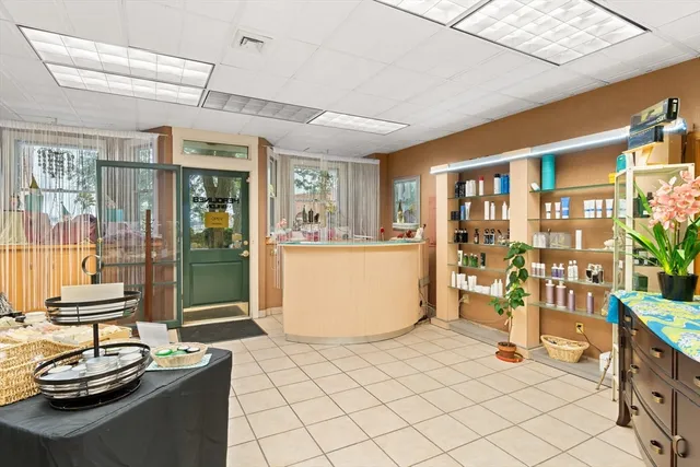 a living room with a couch and potted plant