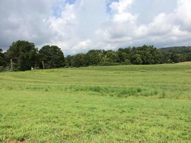 Peppermint Road Maryville, TN 37804 - Photo 1 of 6 IMG_0517