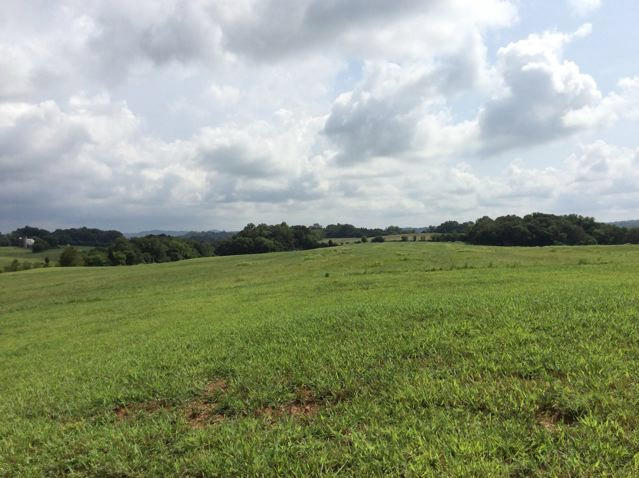 Peppermint Road Maryville, TN 37804 - Photo 2 of 6 IMG_0521