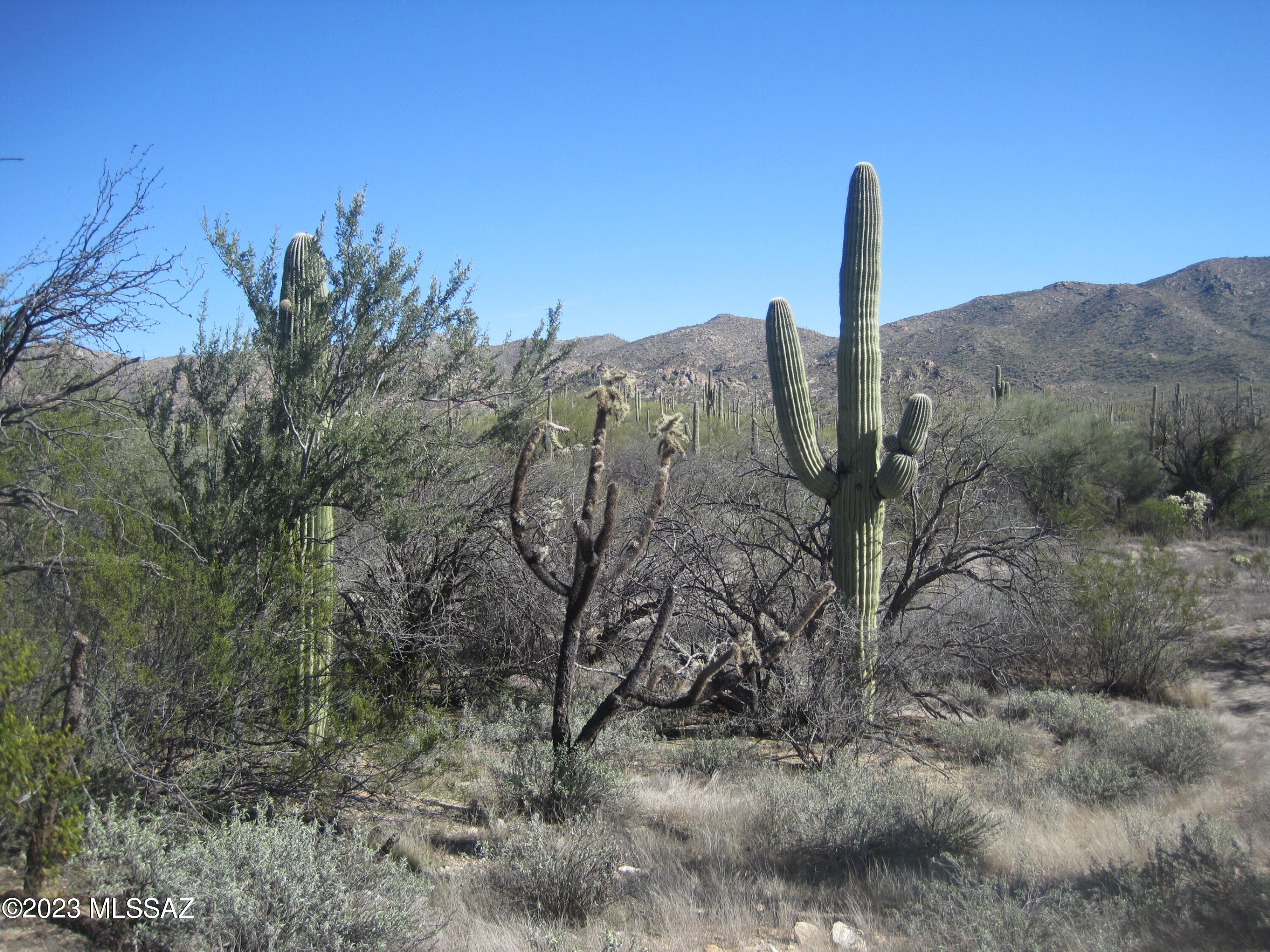 Xxx South Guild Road Marana, AZ 85658 - Photo 12 of 33 Gallery Image 12