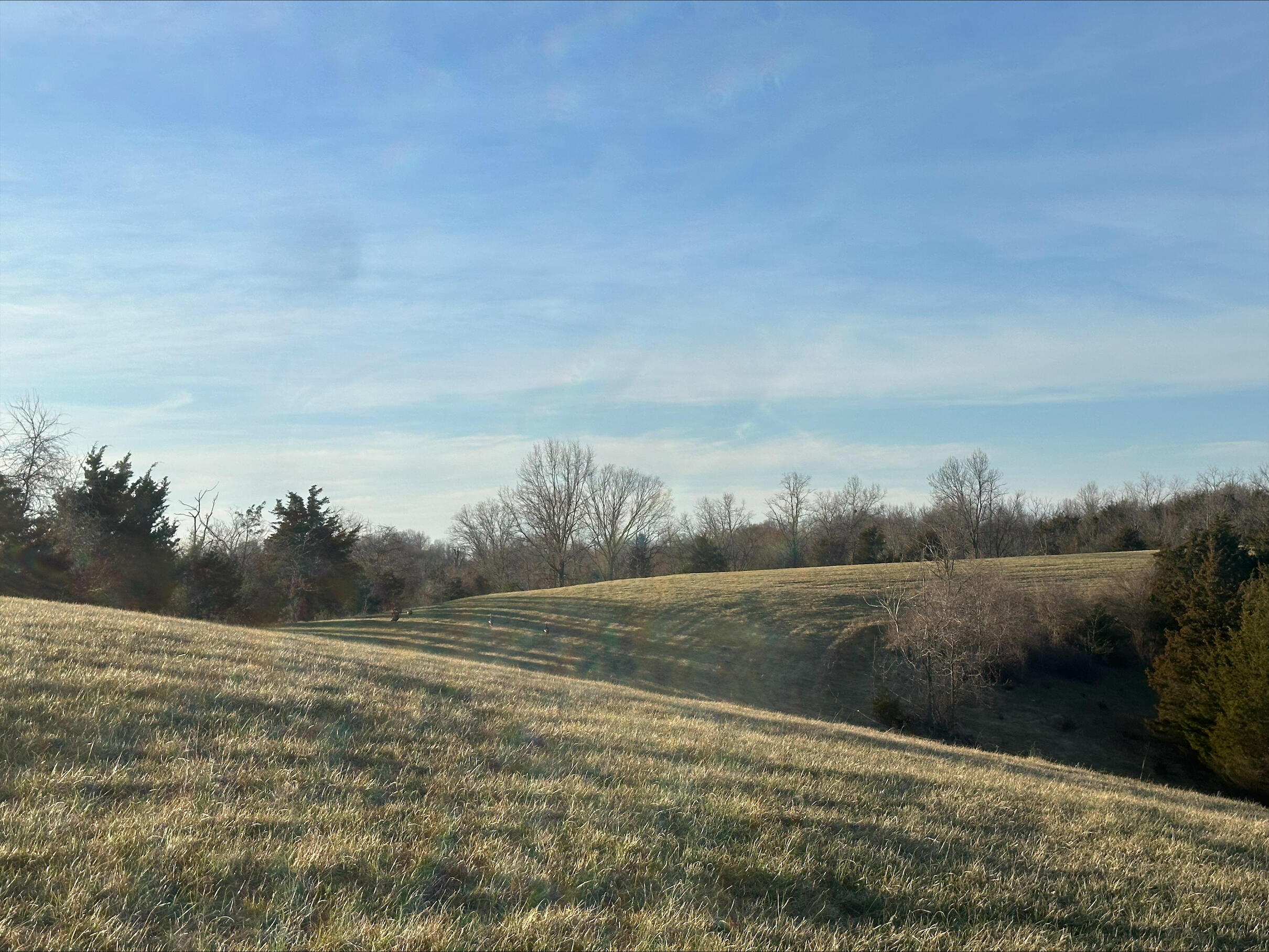 13489 Peach Grove Road California, KY 41007 - Photo 9 of 50 Gallery Image 9