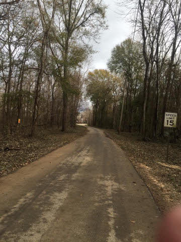 8300 Bryant's Lndg Road Stockton, AL 36579 - Photo 3 of 4 Road View